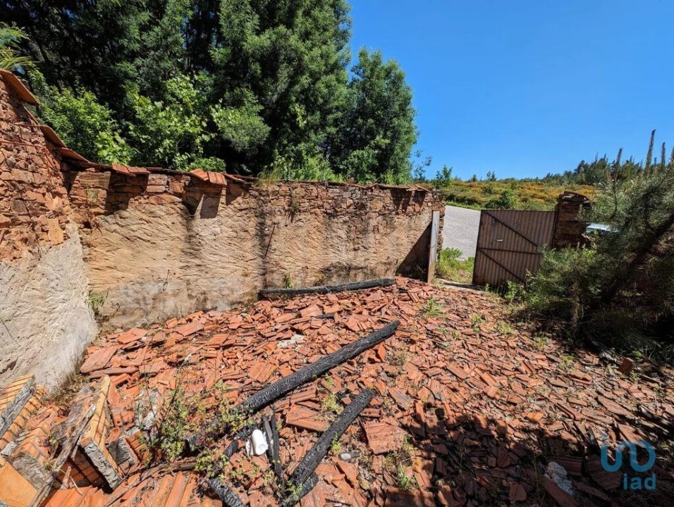 Moradia para Venda em Vila Facaia Foto 10