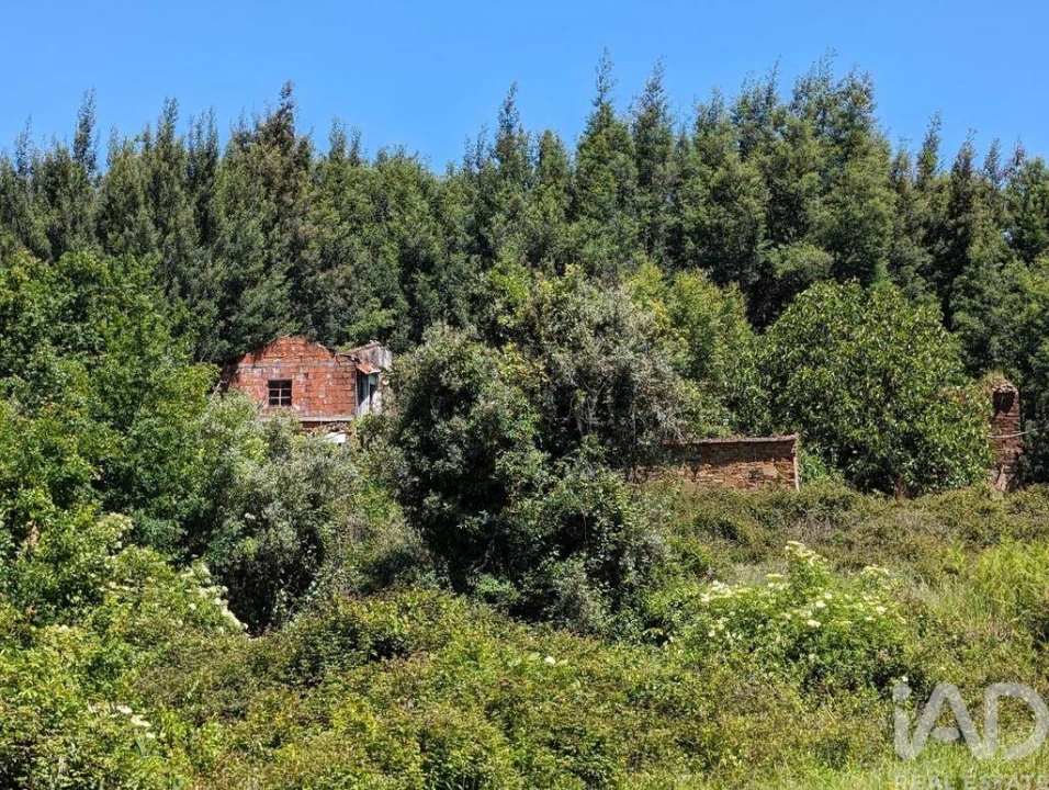 Moradia para Venda em Vila Facaia Foto 23