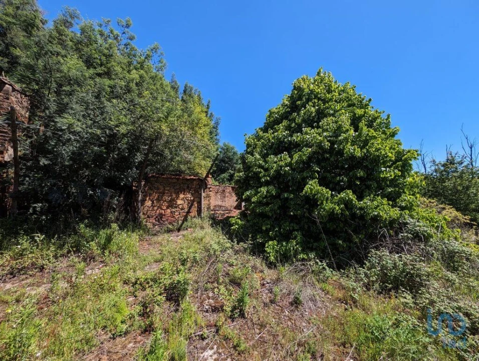 Moradia para Venda em Vila Facaia Foto 9