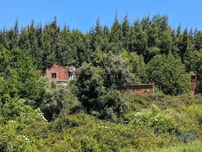 Moradia para Venda em Vila Facaia Foto 8