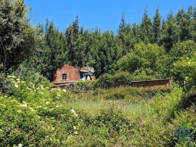 Moradia para Venda em Vila Facaia Foto 6