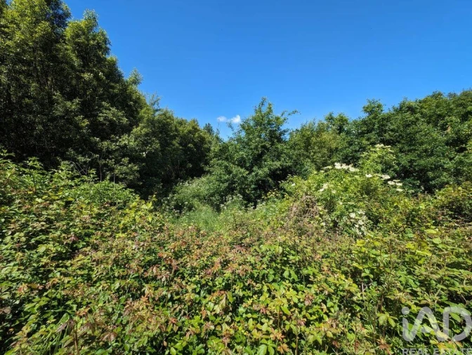 Moradia para Venda em Vila Facaia Foto 22