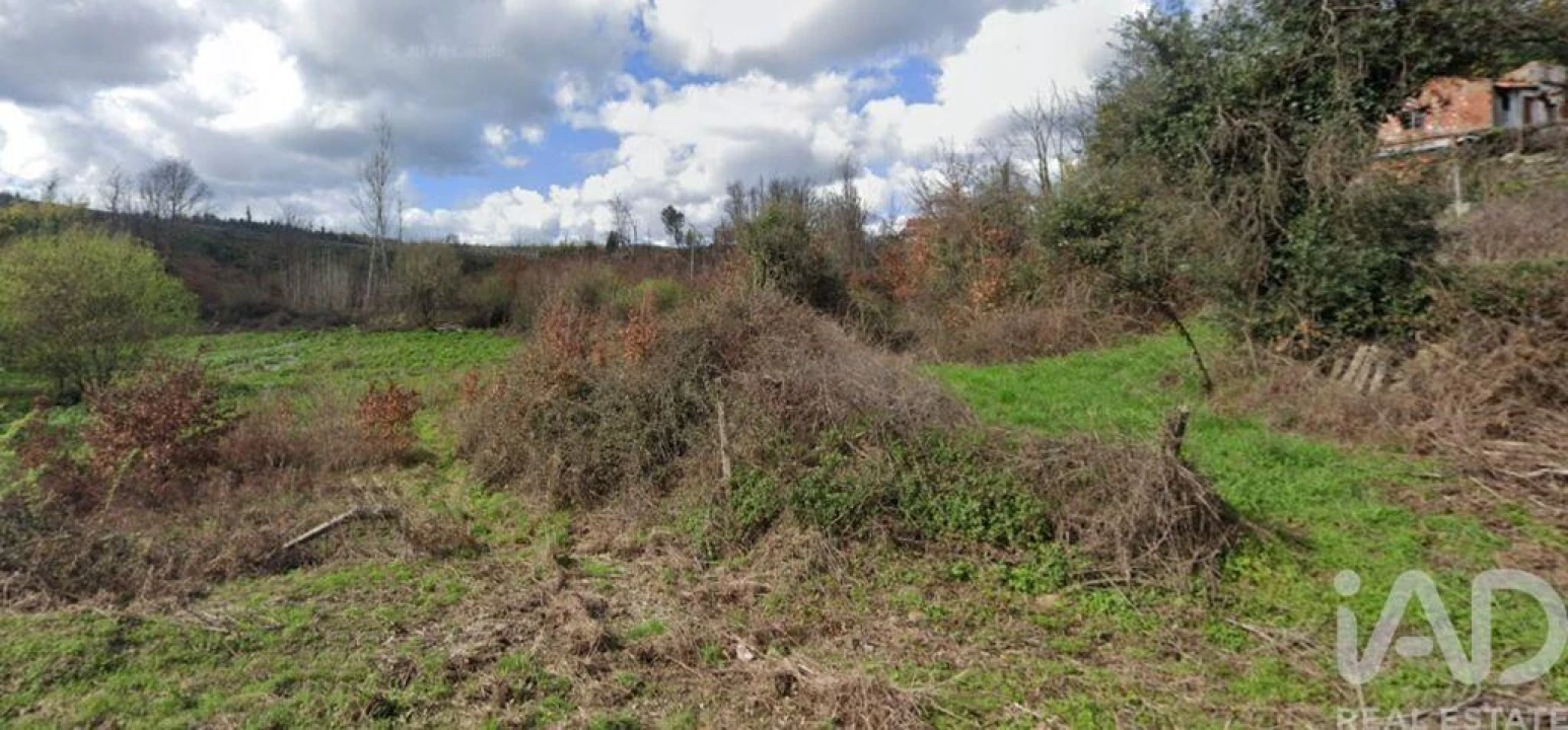 Moradia para Venda em Vila Facaia Foto 18