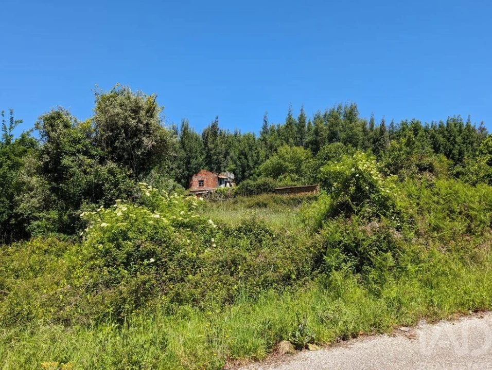 Moradia para Venda em Vila Facaia Foto 20