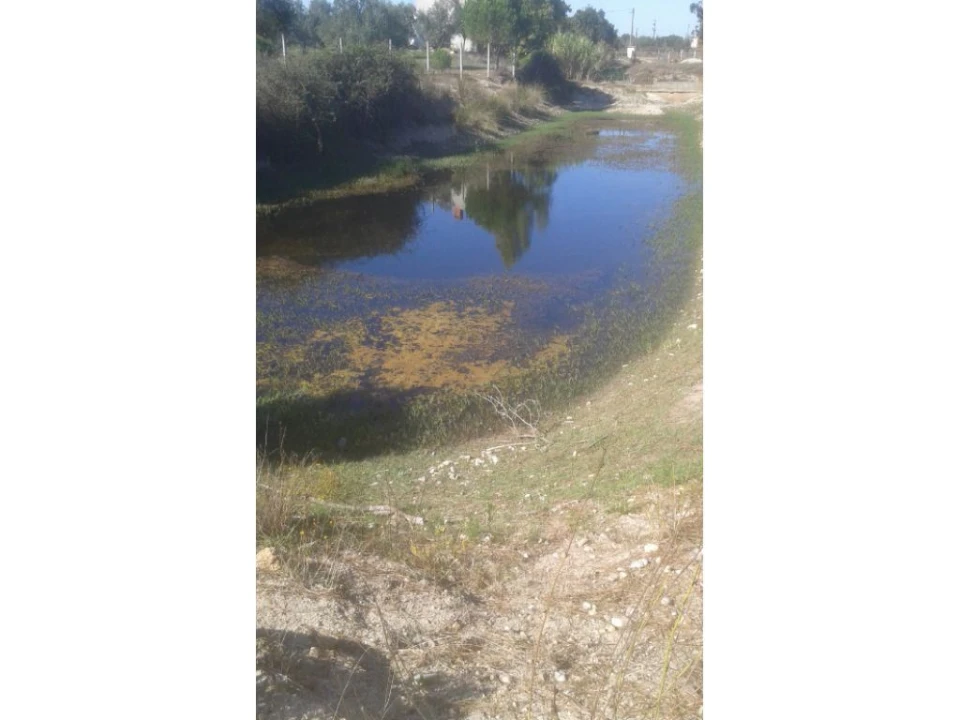 Terreno Agricola ou Rústico para Venda em Foros de Arrão Foto 10