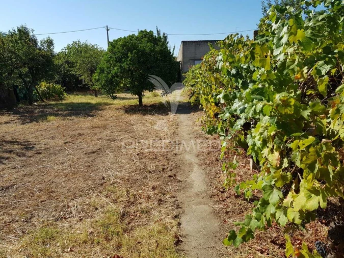 Moradia T5 para Venda em Monfortinho e Salvaterra do Extremo Foto 20