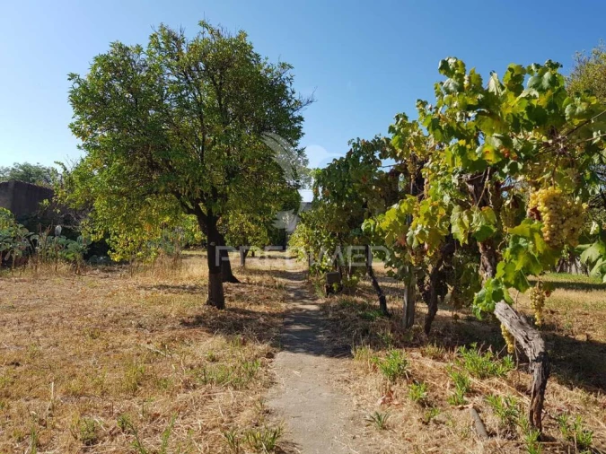 Moradia T5 para Venda em Monfortinho e Salvaterra do Extremo Foto 16