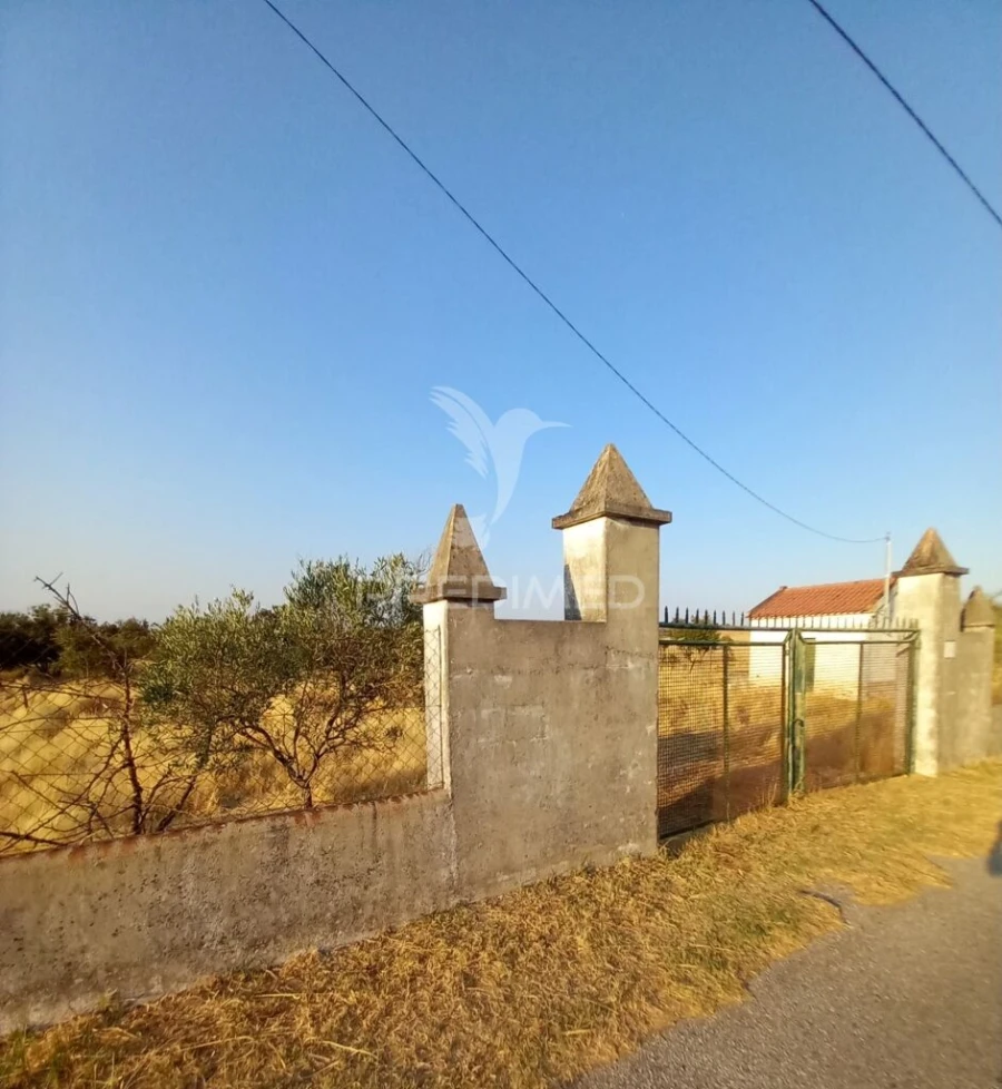 Terreno para Venda em Redondo Foto 3