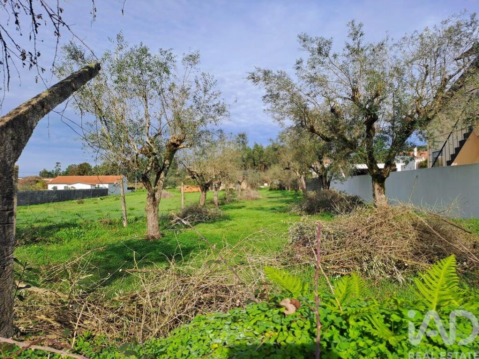 Terreno para Venda em Poiares (Santo Andre) Foto 4