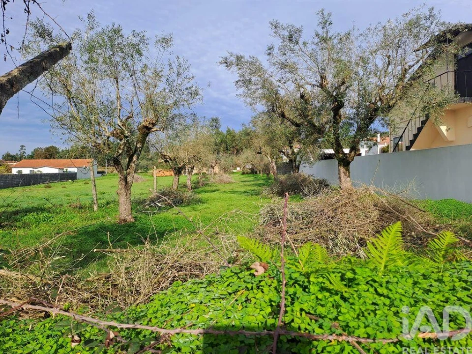 Terreno para Venda em Poiares (Santo Andre) Foto 9