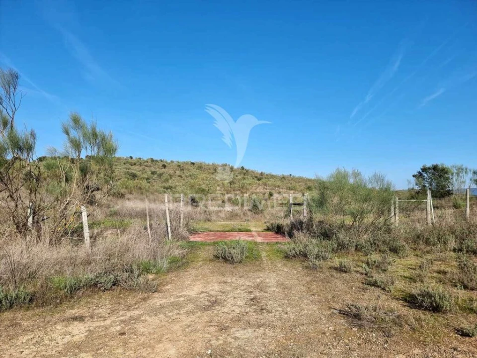 Quinta para Venda em Monfortinho e Salvaterra do Extremo Foto 5