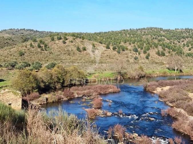 Quinta para Venda em Monfortinho e Salvaterra do Extremo Foto 19