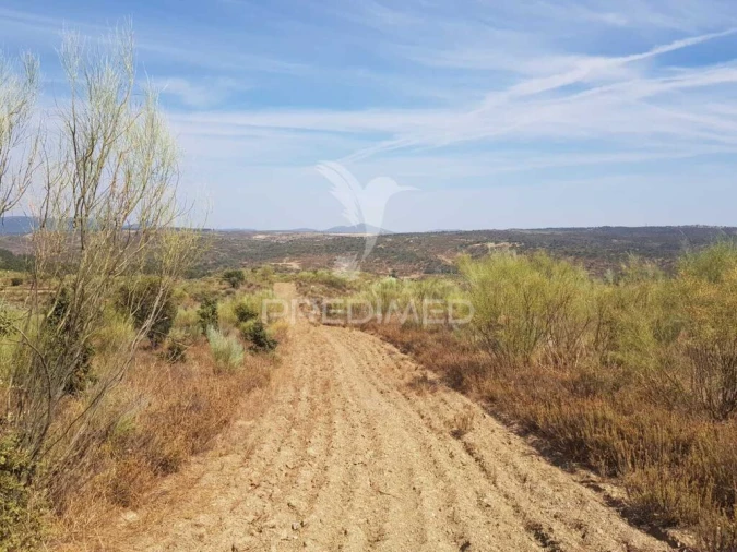 Quinta para Venda em Monfortinho e Salvaterra do Extremo Foto 3