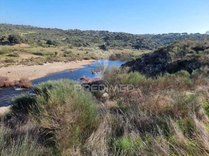 Quinta para Venda em Monfortinho e Salvaterra do Extremo Foto 9