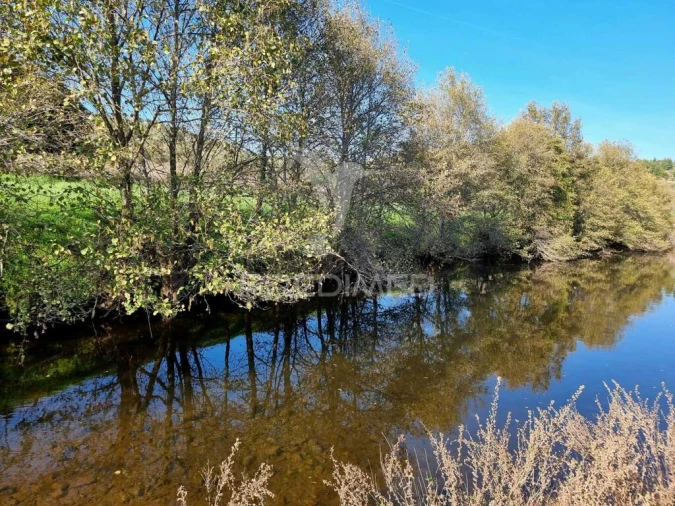Quinta para Venda em Monfortinho e Salvaterra do Extremo Foto 13