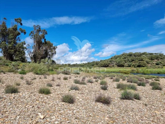 Quinta para Venda em Monfortinho e Salvaterra do Extremo Foto 4