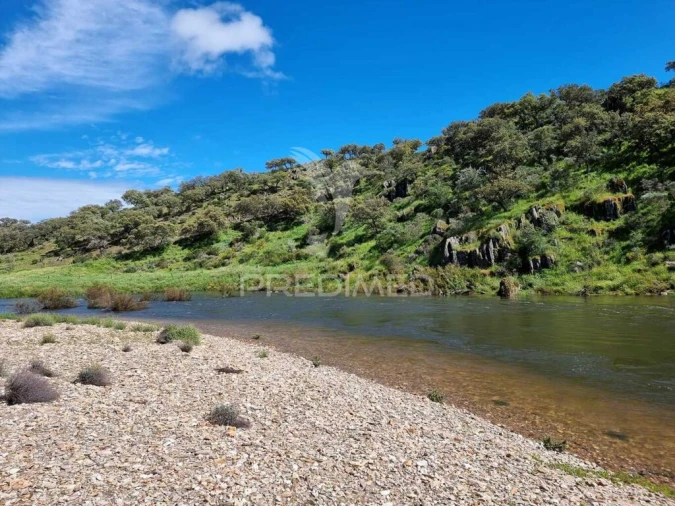 Quinta para Venda em Monfortinho e Salvaterra do Extremo Foto 11