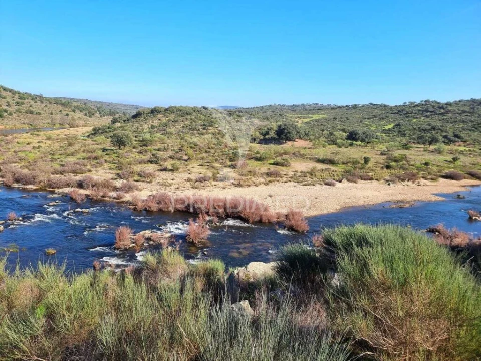 Quinta para Venda em Monfortinho e Salvaterra do Extremo Foto 12