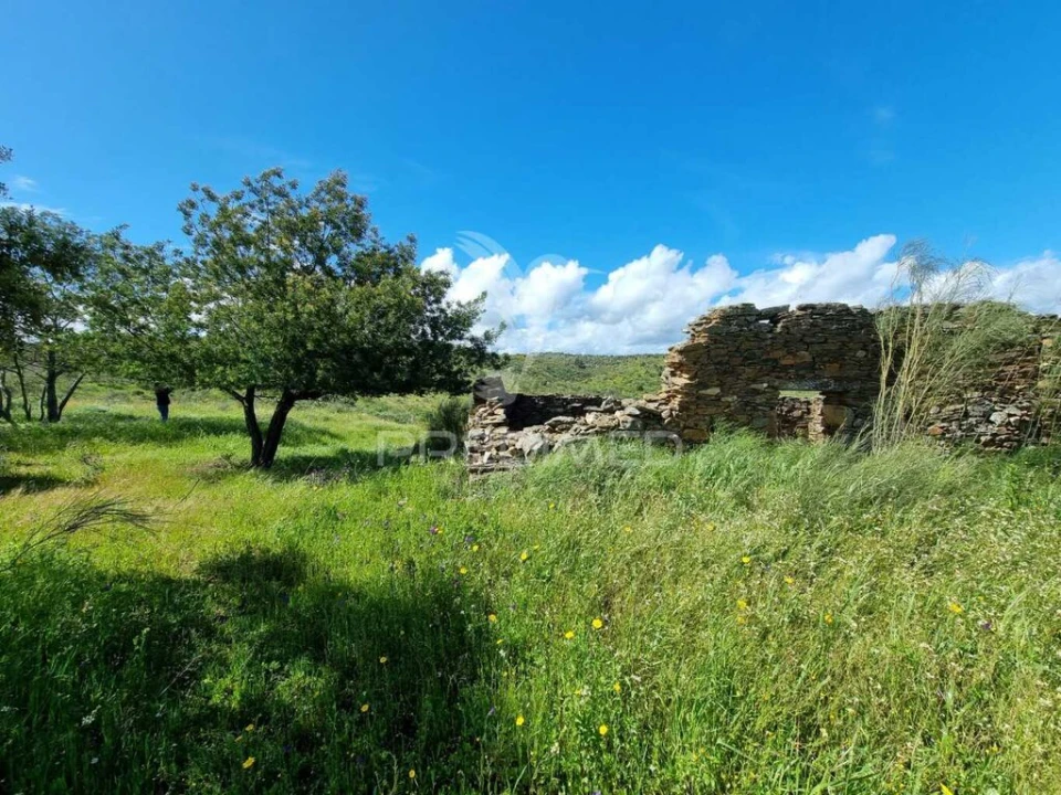 Quinta para Venda em Monfortinho e Salvaterra do Extremo Foto 16
