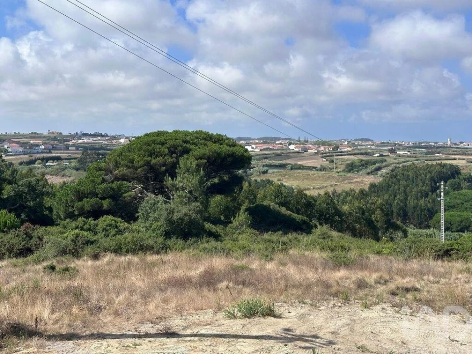 Moradia T4 para Venda em Atouguia da Baleia Foto 29