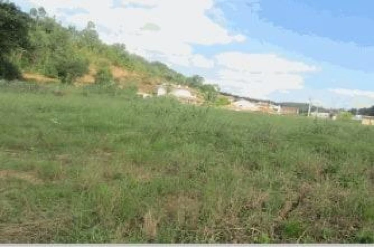 Terreno para Venda em Sé Nova, Santa Cruz, Almedina e São Bartolomeu Foto 5