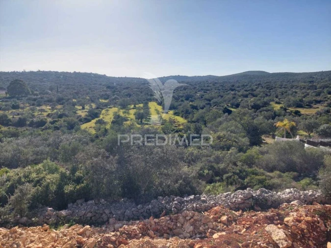 Terreno para Venda em São Brás de Alportel Foto 1