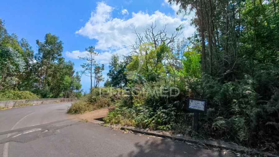 Terreno para Venda em Camacha Foto 20