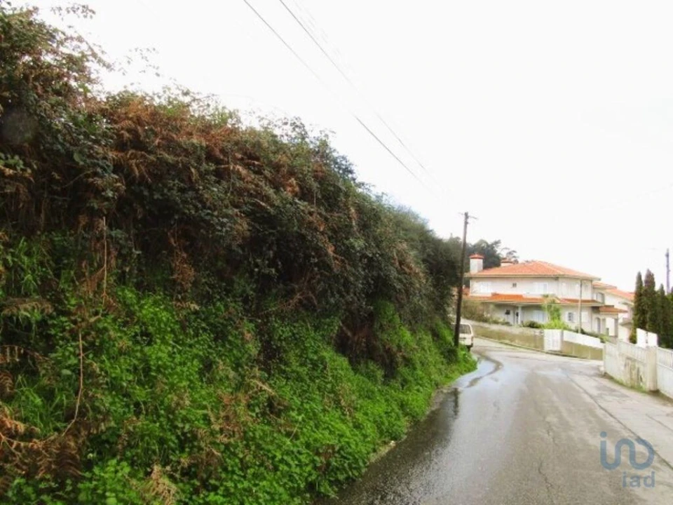 Terreno para Venda em Nogueira da Regedoura Foto 2
