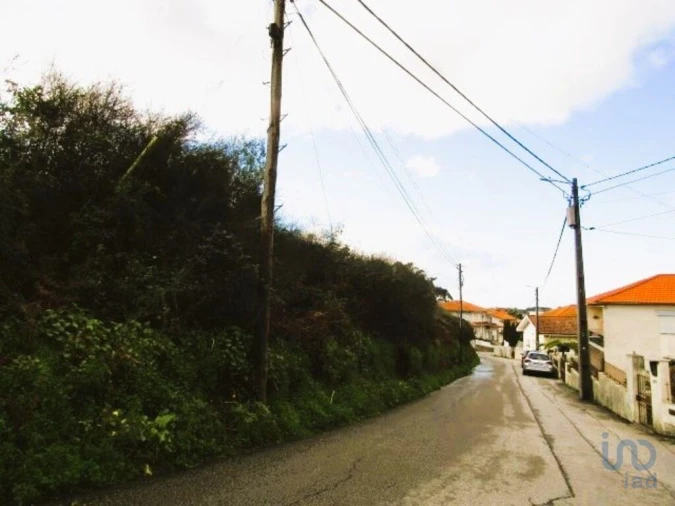 Terreno para Venda em Nogueira da Regedoura Foto 3