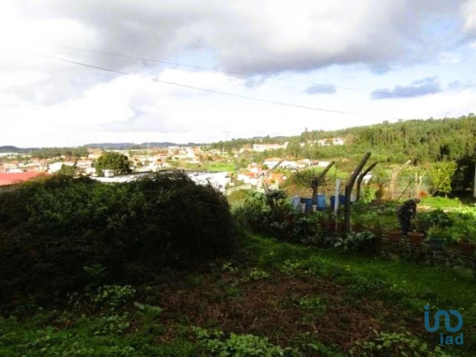 Terreno para Venda em Nogueira da Regedoura Foto 8