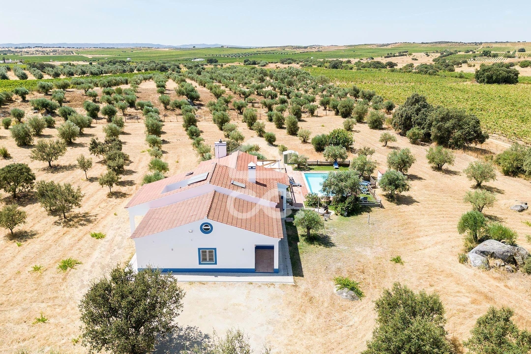 Quinta T4 para Venda em Reguengos de Monsaraz Foto 55