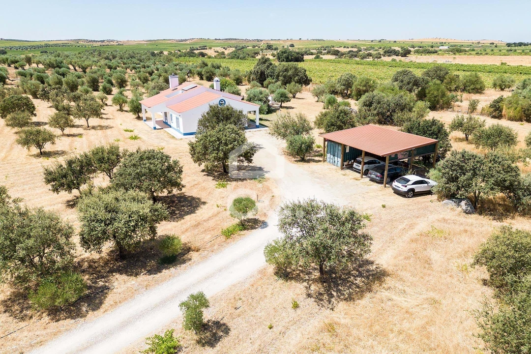 Quinta T4 para Venda em Reguengos de Monsaraz Foto 56