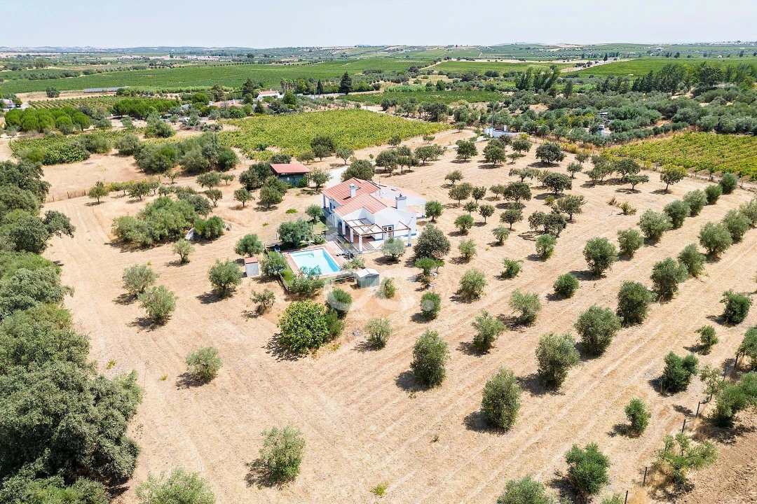 Quinta T4 para Venda em Reguengos de Monsaraz Foto 64