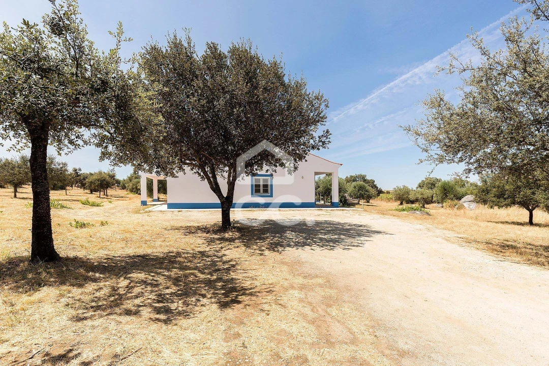 Quinta T4 para Venda em Reguengos de Monsaraz Foto 49