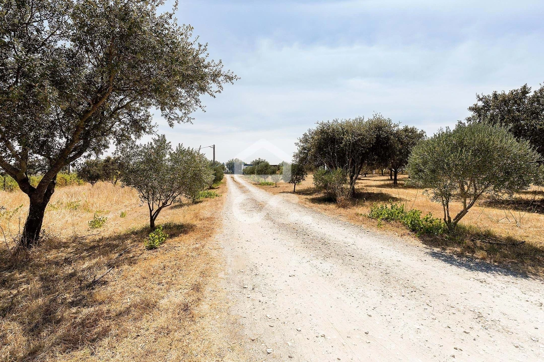 Quinta T4 para Venda em Reguengos de Monsaraz Foto 52