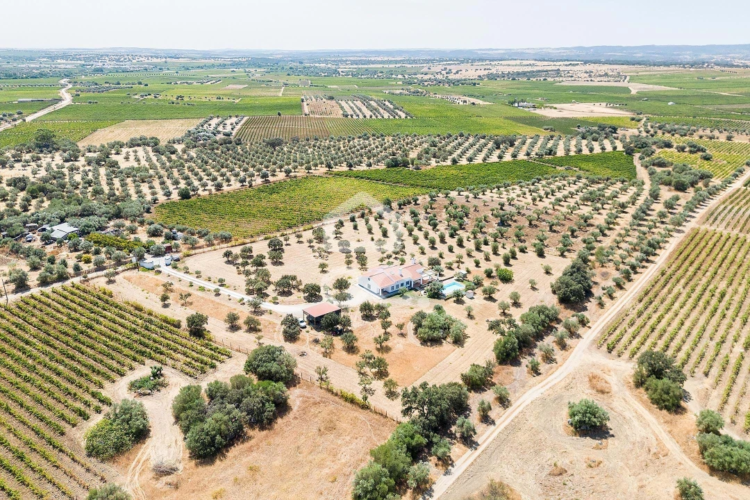 Quinta T4 para Venda em Reguengos de Monsaraz Foto 59