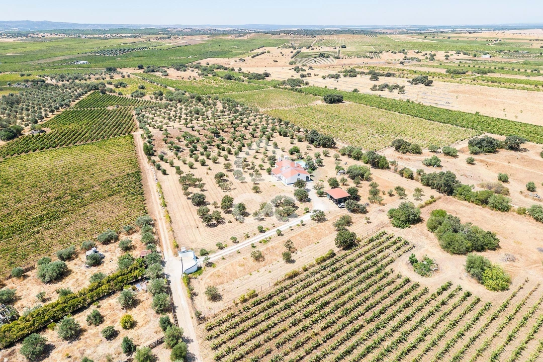 Quinta T4 para Venda em Reguengos de Monsaraz Foto 60