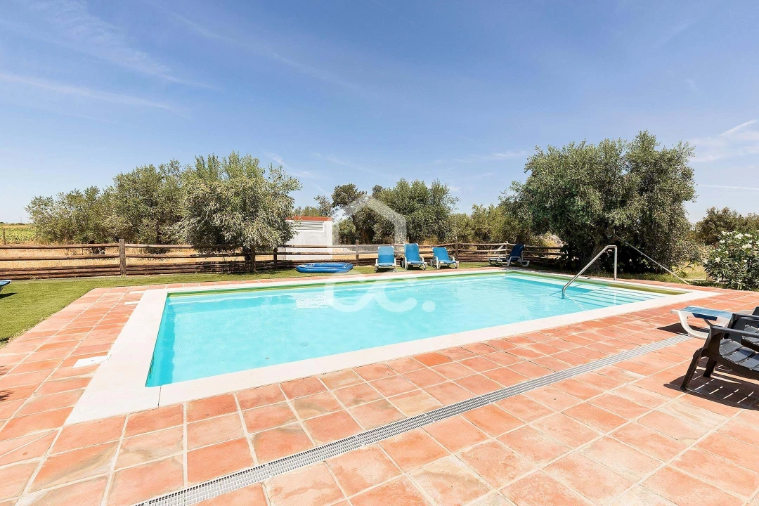 Quinta T4 para Venda em Reguengos de Monsaraz Foto 41