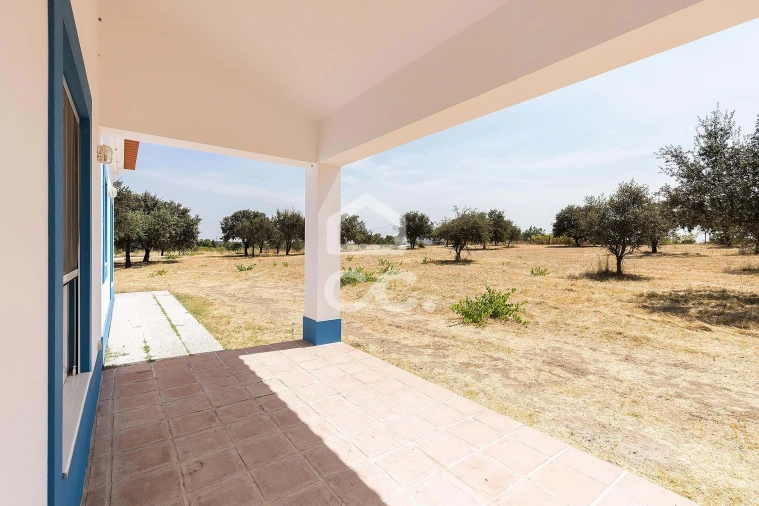 Quinta T4 para Venda em Reguengos de Monsaraz Foto 38