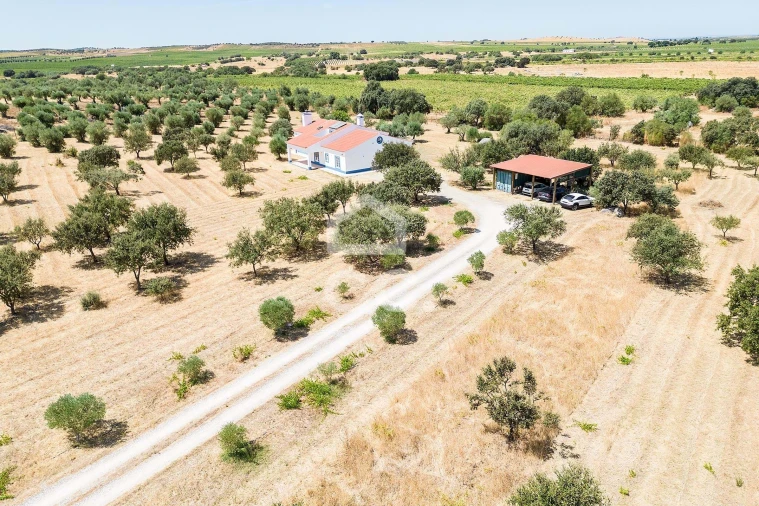 Quinta T4 para Venda em Reguengos de Monsaraz Foto 61