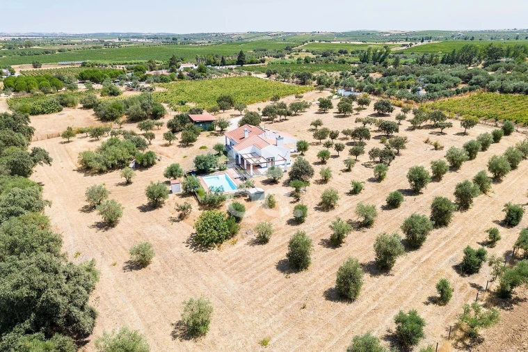 Quinta T4 para Venda em Reguengos de Monsaraz Foto 64