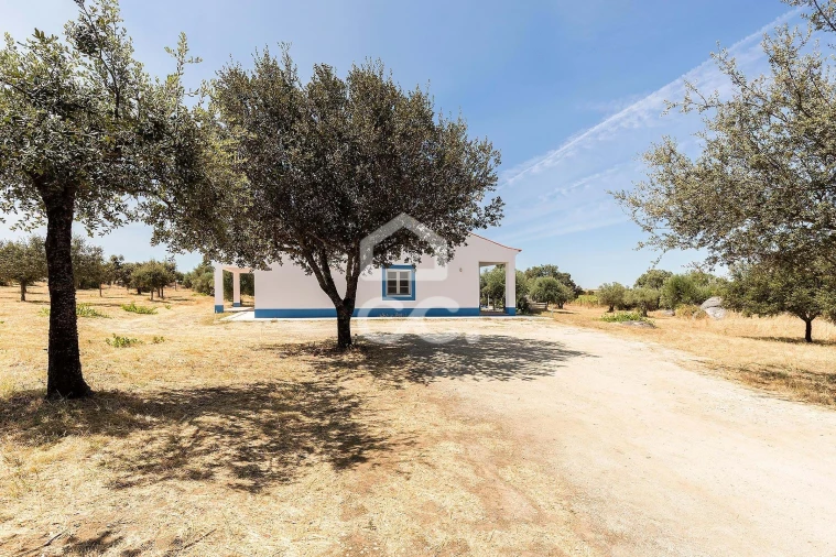 Quinta T4 para Venda em Reguengos de Monsaraz Foto 49