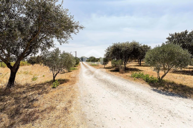 Quinta T4 para Venda em Reguengos de Monsaraz Foto 52