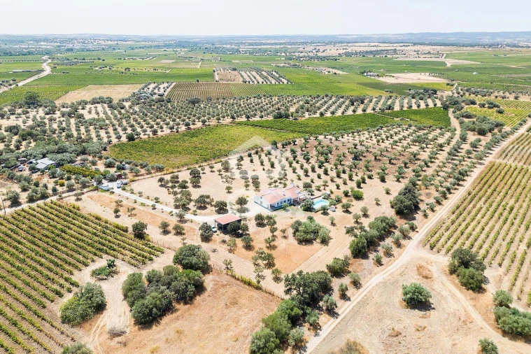 Quinta T4 para Venda em Reguengos de Monsaraz Foto 59