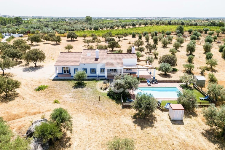 Quinta T4 para Venda em Reguengos de Monsaraz Foto 24