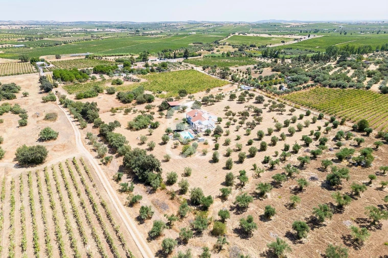 Quinta T4 para Venda em Reguengos de Monsaraz Foto 63