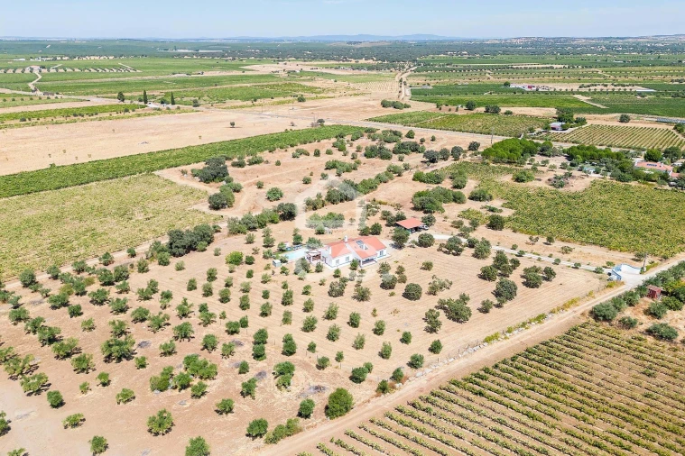 Quinta T4 para Venda em Reguengos de Monsaraz Foto 62