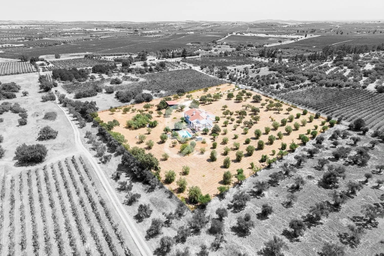 Quinta T4 para Venda em Reguengos de Monsaraz Foto 5