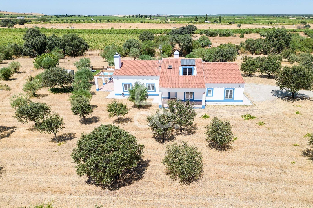 Quinta T4 para Venda em Reguengos de Monsaraz Foto 28