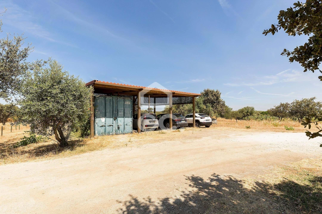 Quinta T4 para Venda em Reguengos de Monsaraz Foto 51